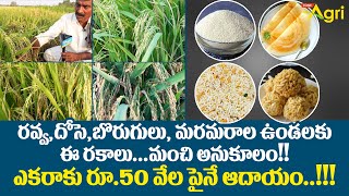 Desi Paddy Seeds Cultivation in Organic | ఎకరాకు రూ.50వేల పైనే ఆదాయం..!!  Tone Agri