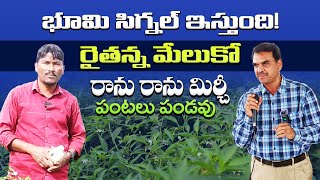 ఇలా చేయకపోతే మిర్చీ పంటలు పండవు||భూమి సిగ్నల్ ఇస్తుంది||భూసారం పెంచడానికి ఇలా చేయండి||