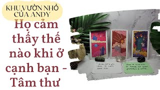 Chọn 1 tụ bài Tarot - Họ cảm thấy thế nào khi ở cạnh bạn & Tâm thư - Alo Andy