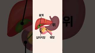 얼굴이 어둡고 눈이 탁하다면 간이 아니라 이것이 원인입니다 #Shorts