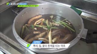 VJ 특공대 - 초복 맞이! 이색 복달임 요리 열전 2. 20160715