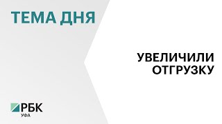 Аграрии РБ увеличили экспорт продукции на 10%