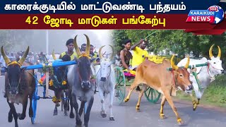 காரைக்குடியில் மாட்டுவண்டி பந்தயம் 42 ஜோடி மாடுகள் பங்கேற்பு | Karaikudi News 360