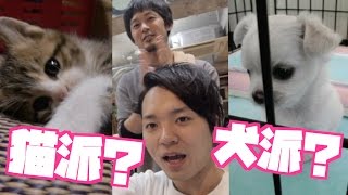 【恋愛トーク】犬系女子と猫系女子どっちが好きか考えてみた。