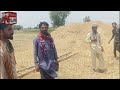 how is the ford 3600 tractor trolley on wheat straw tori ka rate kia hai fordtractor tractor