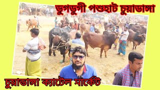 @চুয়াডাঙ্গার ডুগডুগি গরুর হাট বাজার|||ষাঁড় গরু|| 18 নভেম্বর 24