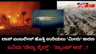 Los Angeles wildfire  ಲಾಸ್ ಏಂಜಲೀಸ್ ಆಹುತಿಗೆ ಮೀನು ಕಾರಣ..!