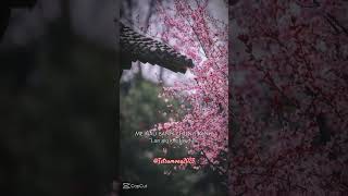 NHẠC : TẾT ĐÔNG ĐẦY | CAPCUT #tetsumvay2025