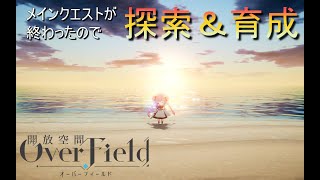 明日からイベント始まるらしい【開放空間:Over Field】