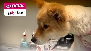 [펫 스토리 Pet Story] eps 4 \