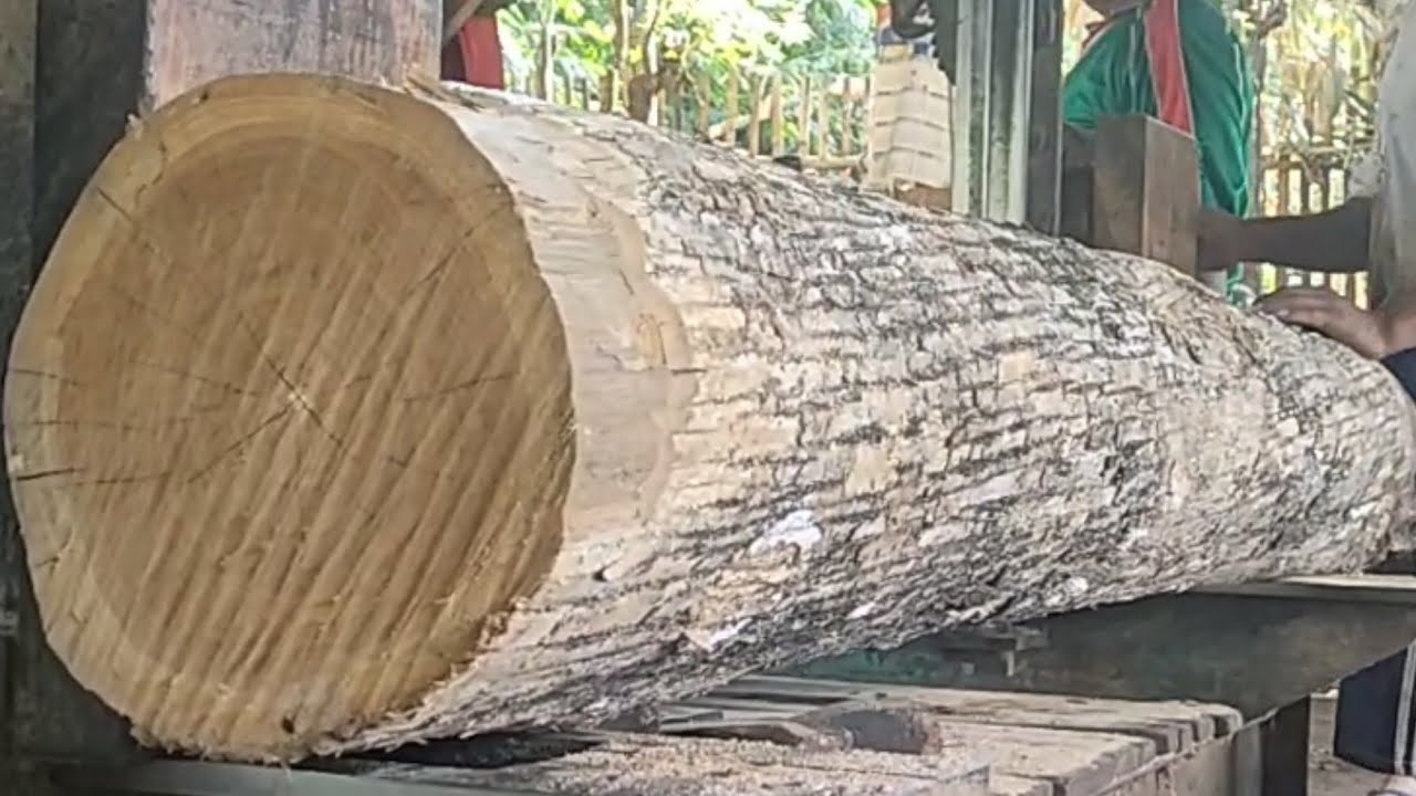 Furniture Master S Beautiful Teak Wood Sawing Process Youtube