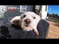 sam rock s the yard u0026 cody chill s 20230205