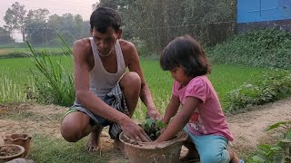 বিকালবেলা মামনি বাবাকে কি কাজে সাহায্য করলো সাথে মামনি কি বলে শুনালো। Village Vloger Nopur.