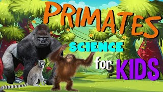 What are Primates | Science for Kids
