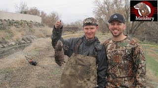 Muskrat Hunt With YouTube Fans.