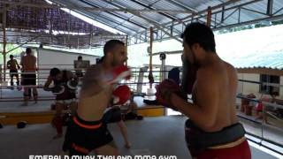 Maurizio's training highlights at Emerald Muay Thai and MMA gym