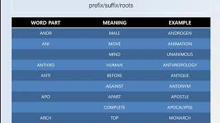 ETYMOLOGY1:  Prefix / Suffix / Root Mnemonics  |  DIYWORDSMITH