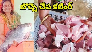 బొచ్చె చేప కట్టింగ్ /#fishcutting #fishingvideo