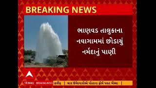 Dwarka News | દ્વારકાના ખેડૂતો માટે ખુશીના સમાચાર, પિયત માટે છોડાયું નર્મદાનું પાણી