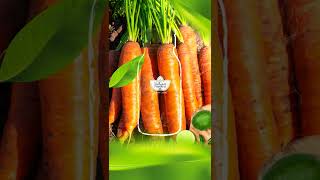 Rich in carotenoids and Vit A, C, and K, carrots and limes are great for your eye, skin. #hayatna