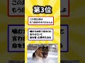 世界で最も危険な犬種7選 1分雑学 動物 雑学