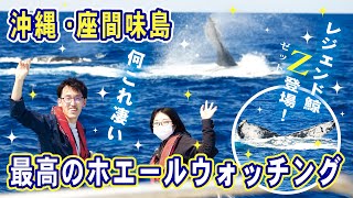 【沖縄・座間味島】伝説のクジラ！「Ｚ」の大バトル！・2023/03/01