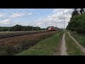 en57ald 2234 jako regio 12814 terespol dęblin opuszcza małaszewicze. rp1 5.09.2020