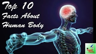 Top 10 Facts About Human Body in Tamil| HUMAN BODY AMAZING FACTS | Tamil Facts