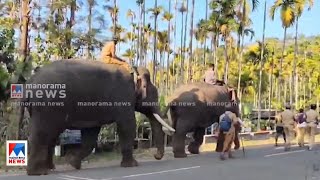 നൂല്‍പ്പുഴയില്‍ കുങ്കിയാനകളെത്തി; കാട്ടാനകളെ ഉള്‍വനത്തിലേക്ക് തുരത്തും |Wayanad Noolpuzha