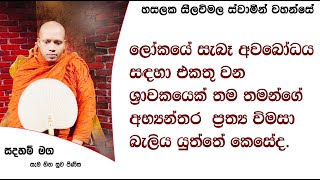 ලෝකයේ සැබෑ අවබෝධය සඳහා එකතු වන ශ්‍රාවකයෙක්.768Ven Hasalaka Seelawimala Thero