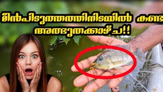 കട്ടക്കാ കായലിലേ മീൻ പിടിത്തം /lake Fishing video #floatingtraveller