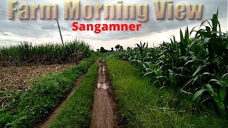 One of the best morning view | Sangamner |  Morning Walk In Farm | Shirdi Vlog 2022 ep-09