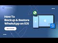 How To Backup and Restore WhatsApp on iOS?