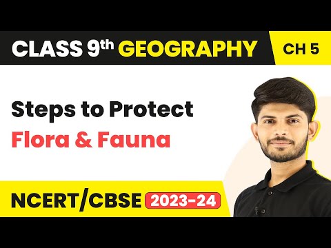 What are the different steps taken by the government to protect flora and fauna in India?