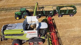 Żniwa 2023 jęczmień z Claas Lexion 7700 TerraTrac