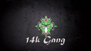 14K Gang Intro