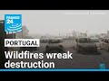 Locals survey destruction wreaked by Portugal wildfires • FRANCE 24 English