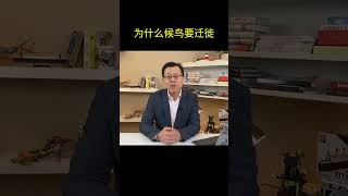 为什么候鸟要迁徙？