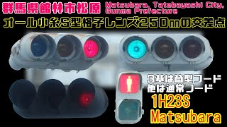 【信号機】群馬県館林市松原 オール小糸S型格子レンズ250㎜の交差点（筒型フード3基）