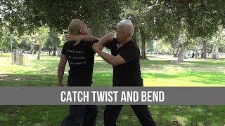 catch twist and bend  #monk#bruce lee#jackie chan#yipman#mma#ufc#gym#workout#Muay Thai#wwe