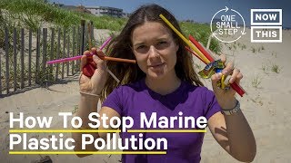 How Do We Fight Marine Plastic Pollution? | One Small Step