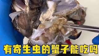 如何挑选肥嫩多汁的蟹子？有寄生虫的蟹子能吃吗？看完就知道答案了！【老郭美食】