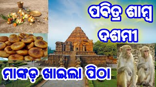 ମାଙ୍କଡ଼ ଖାଇଲା ପିଠା / ଶାମ୍ବ ଦଶମୀ / #viralvideo #jagannnath #sanatandharma