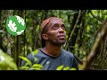 Liana Cutting for Climate in Belize Maya Forest