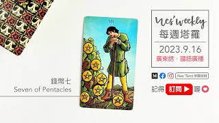 230916｜粵/國語 (10:41)｜錢幣七 Seven of Pentacles