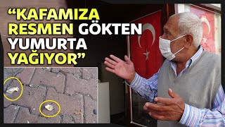 Kozan'da Tarihi Çarşıda Yumurta Paniği