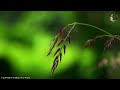 beautiful romantic piano songs of all time best relaxing piano instrumental love songs playlist