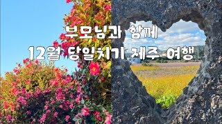 [VLOG] 부모님과 12월 당일치기 제주 여행 | 먹돌 고기국수 | 송악산둘레길 | 휴일로 카페 | 용머리해안 | 숨도 정원 (동백꽃 스팟🌺)