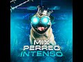 mix perreo intenso