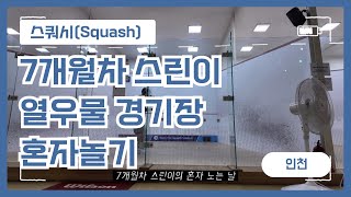 스쿼시 7개월차 스린이! 인천열무울경기장 혼자 가보기